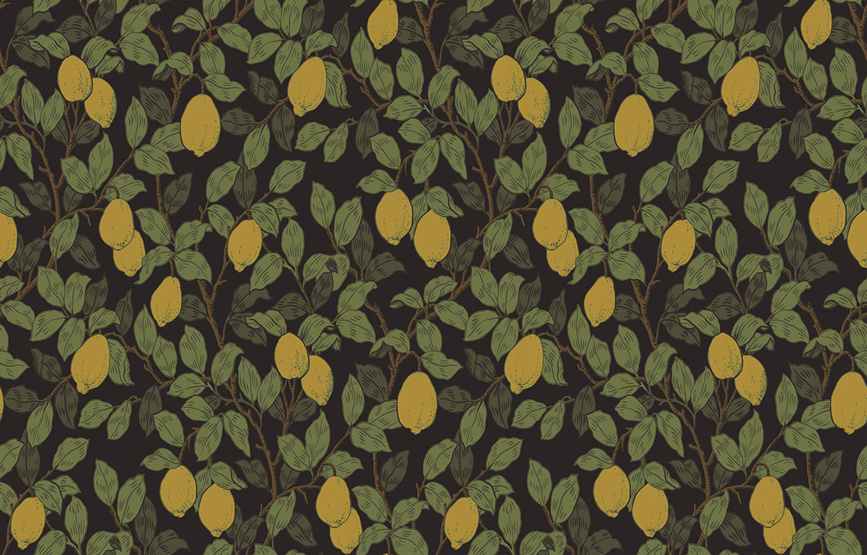 Обои Loymina Equator Citron QTR3 011 10,05×1 Обои Loymina Equator Citron QTR3 011 10,05×1